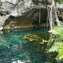 Grand cenote