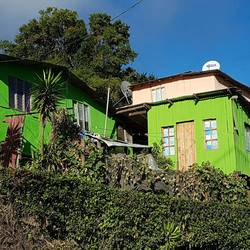 I love a green house!