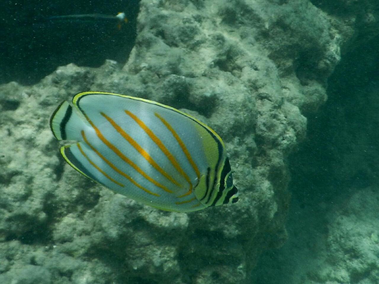 Hanauma Bay Marine Life Conservation District, United States Travel