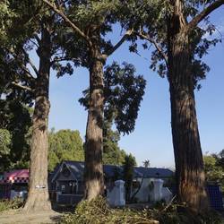 Überall liegen Baumteile