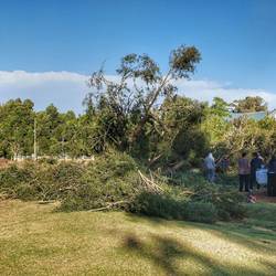 Er hat die Stromleitung mitgenommen