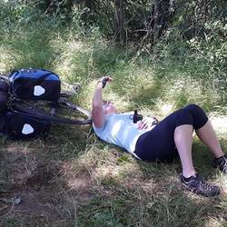 Shady spot by the bike path.