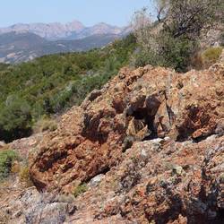 Red porphyry - rhyolte