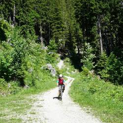 Knieschonende Abfahrt