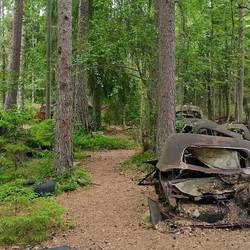 Autofriedhof in einem Moor