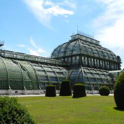 palm house