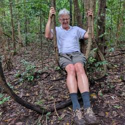 Schaukeln scheint schwer zu sein.