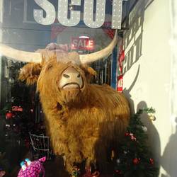 leider zu groß für den Koffer