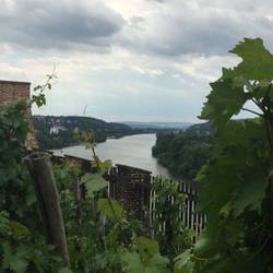 castle view