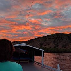 Fünf Minuten Abendrot am Flughundewald