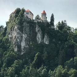Bled castle