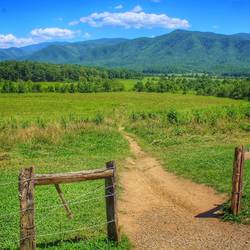 They repair the fences in the original manner