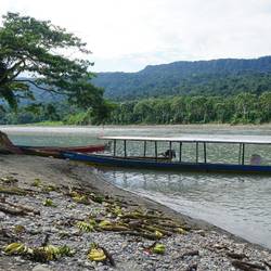 The "port"