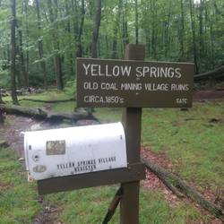 Suddenly in the middle of the woods...