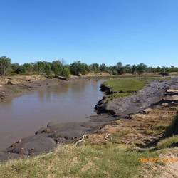 The muddy King River