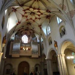 Orgel mit Sterngewölbe