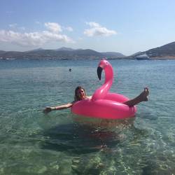 Our flamingo called Zeus
