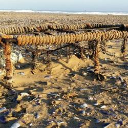 Crayfish trap