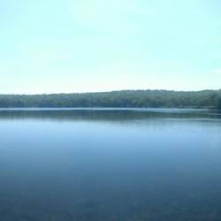 Pond with weird fish - no swimming :(