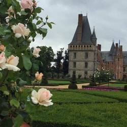 the chateau