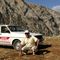 Hamdi and his beloved 38 years old Renault TSW 1400!