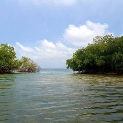 The area to the Caribbean...The water started getting clearer as we approached