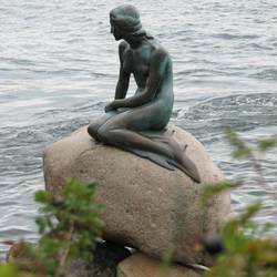 The little mermaid