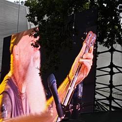 Seasick steve