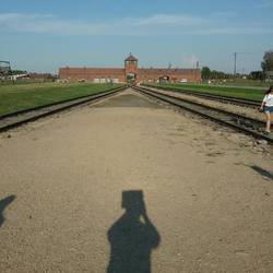 Trains came in with people to be sorted