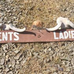 not sure how i feel about skulls showing me the way