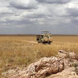 grateful for two spare tyres