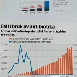 Seit Jharen kein Antibiotikaeinsatz!