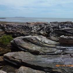 Petrified rocks