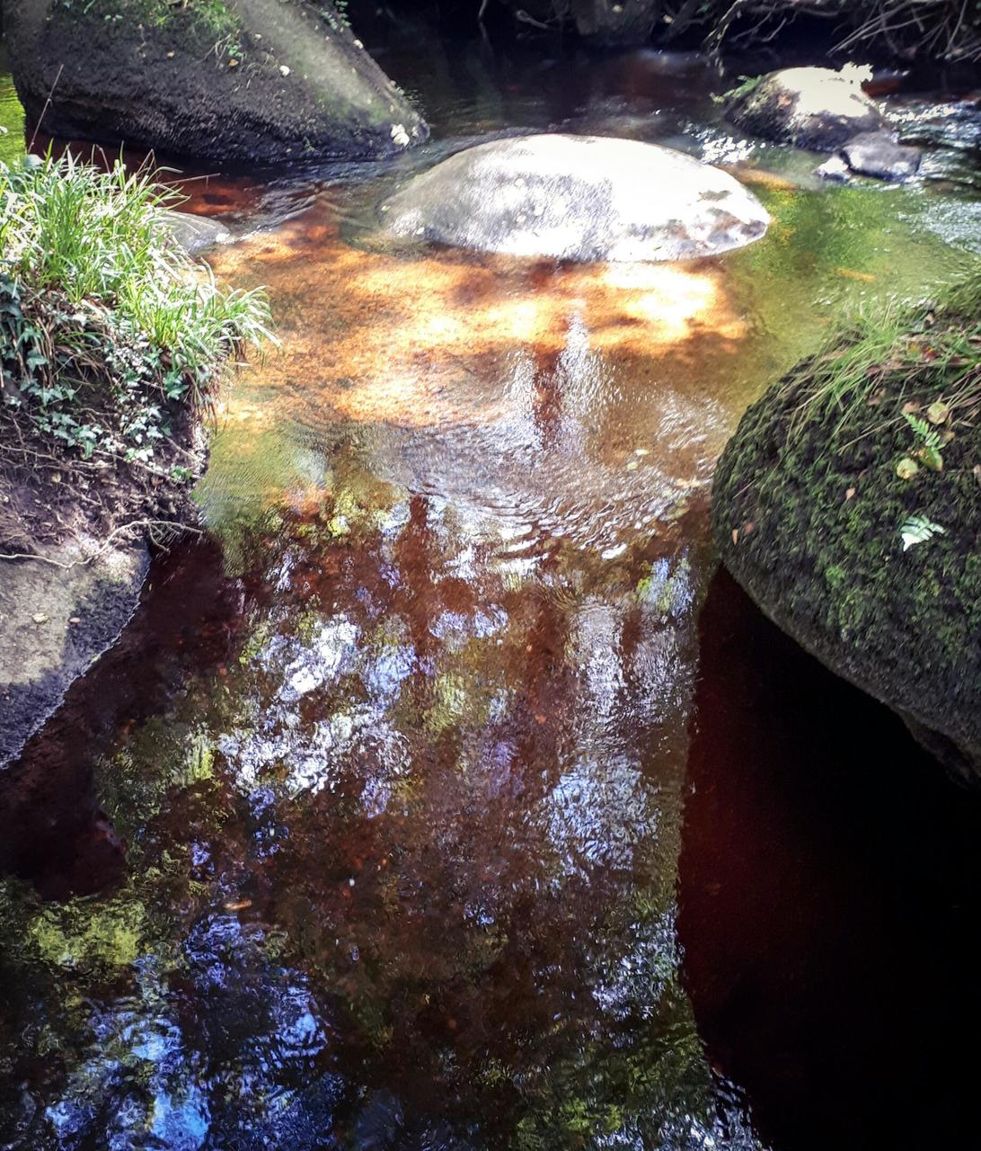 Mare aux fées