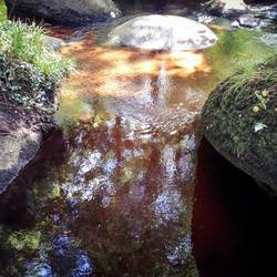 Mare aux fées