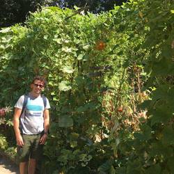 Veggies in the botanical gardens