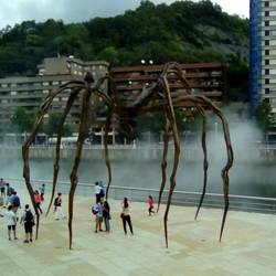 Guggenheim spider