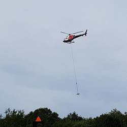 Lieblicher Klang der Singvögel am Morgen
