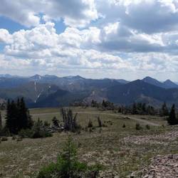 This will be replaced with the panoramic.