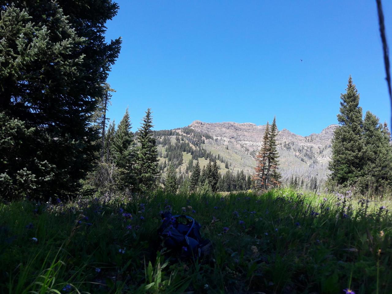 View from my lunch spot