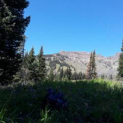 View from my lunch spot