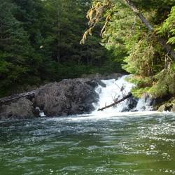 A creek passed on the way back - first area to see settlement back in the day. now returned to wild.