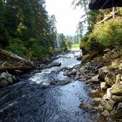 Looking back towards the estuary from the observatory.