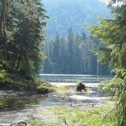 The estuary at high tide.