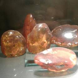 We visited an amber shop