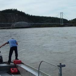 The road bridge and the pipeline's suspension bridge over the Tanana River.