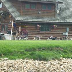 Off goes the main team, mushing around the lake at top speed.