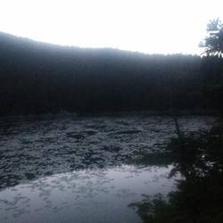 Evening mood over the pond
