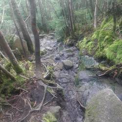 It looks steeper in real life!