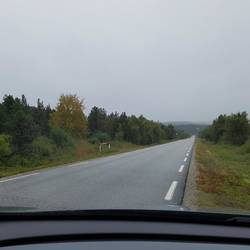 Herbstlich, findet auch Rune